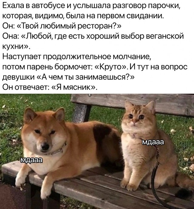 Так себе картинки 31.12.23