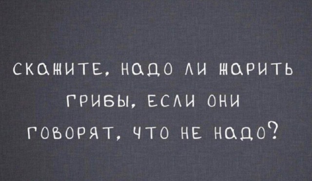 18746943.jpg