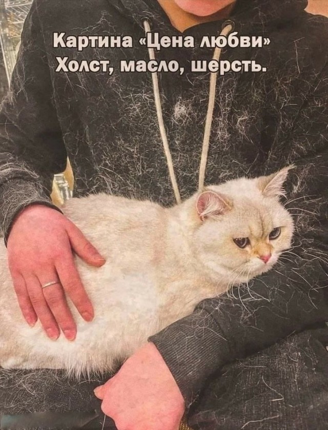 Мемчики и картинки для настроения и подумать
