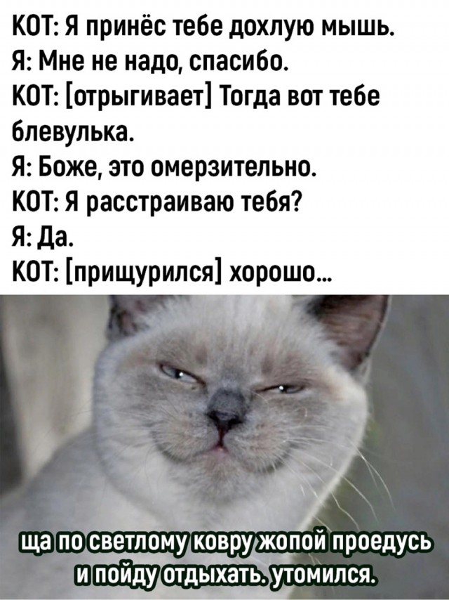 Жертва домашнего Василия