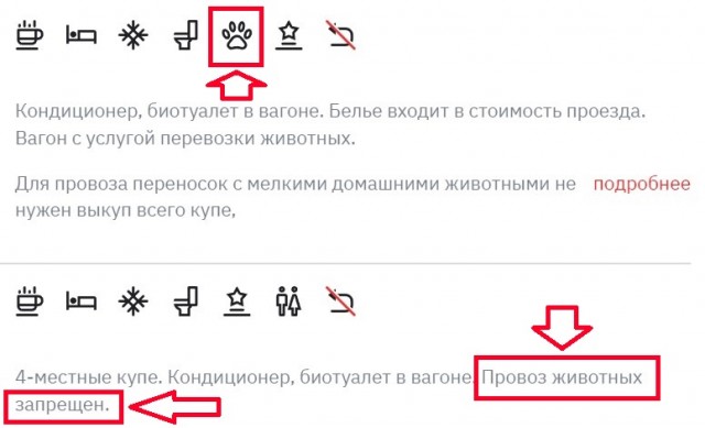 В междугородних поездах Финляндии есть отдельные вагоны для проезда с домашними животными