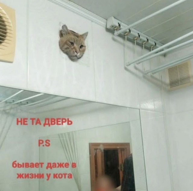 История, к счастью, с хорошим концом: в Уфе спасли котика, попавшего в вентиляцию