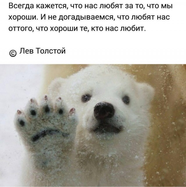 Савушка
