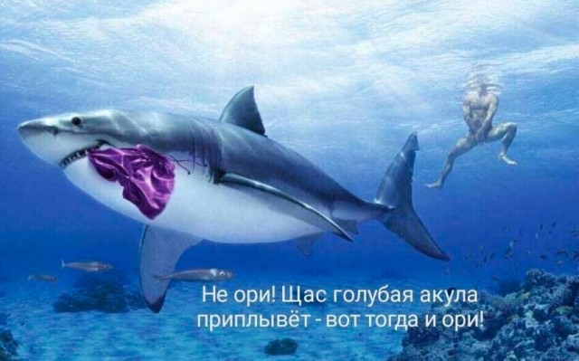 Картинки разные с надписями и без