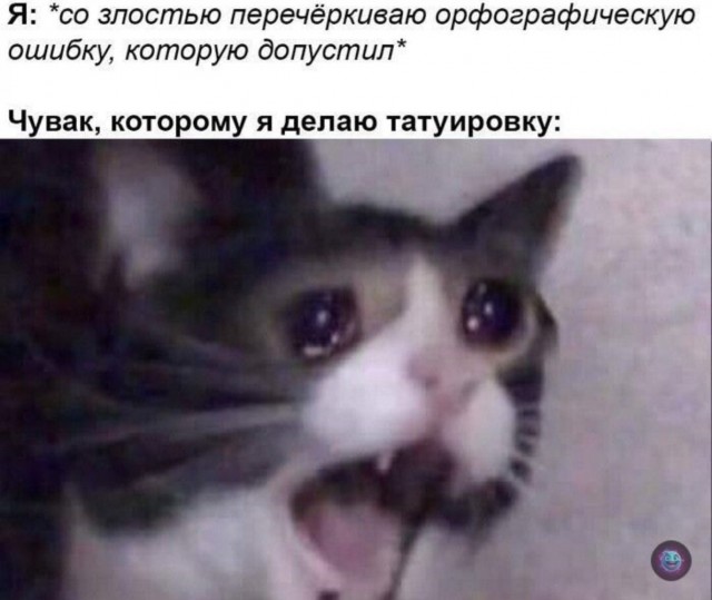 Веселые картинки к пятнице