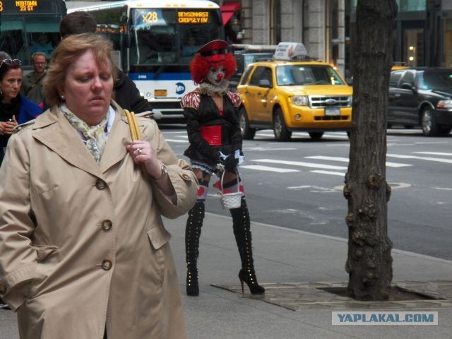 Бабушке пирожки несет?