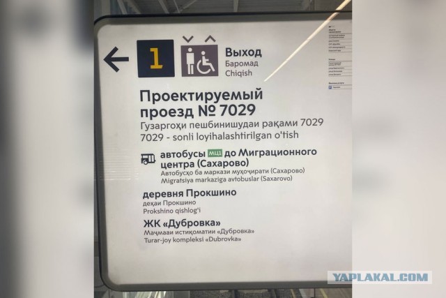 В Госдуму внесут проект о запрете зачисления детей мигрантов в школы без знания русского языка, - Володин