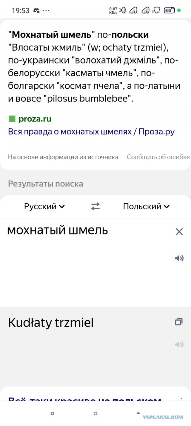Так себе картинки 29.11.24