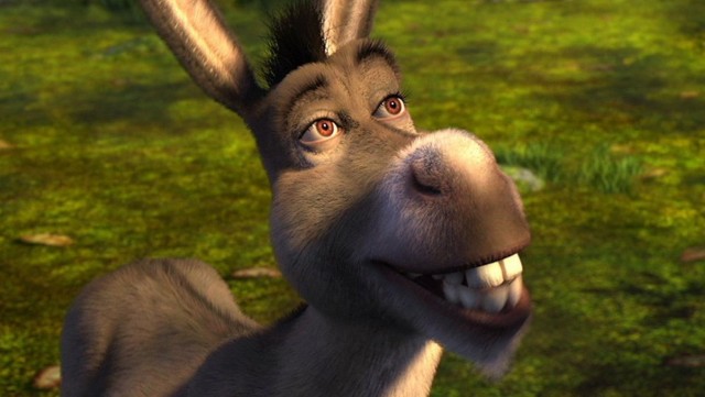 В немецком языке есть слово «Drachenfutter», которое означает «корм для дракона»