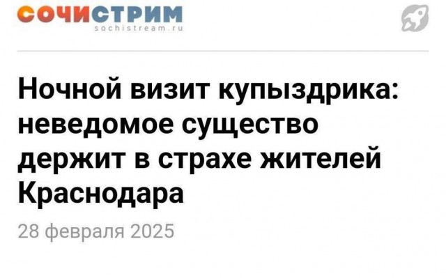 50 картинок с курсов игры на баяне