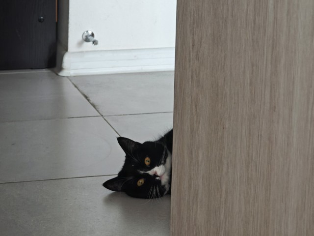 Можно выходить?