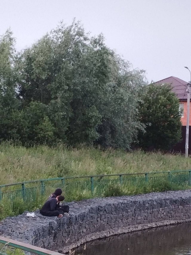 Подростки зверски убили утят в Подмосковье