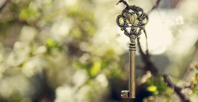 Зачем люди вешают найденные вещи на деревья?