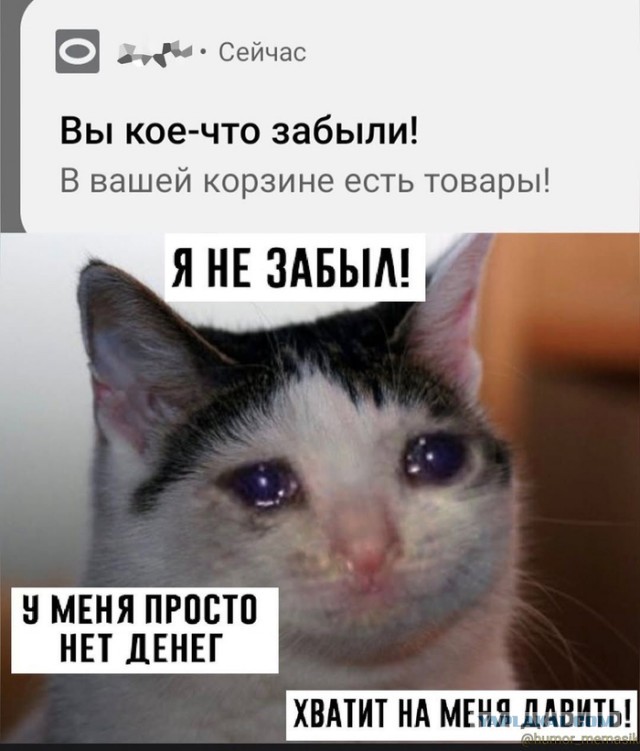 Веселое настроение в картинках (06.10.2025)