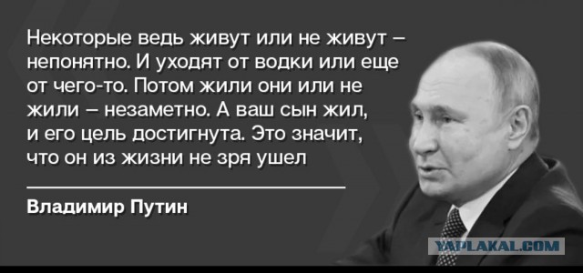 Прямая линия с президентом