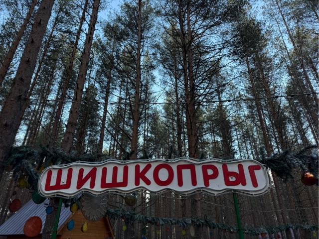 Помощник Деда Мороза