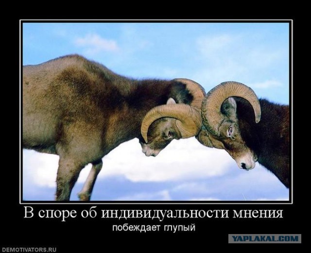 Девушка в ярости