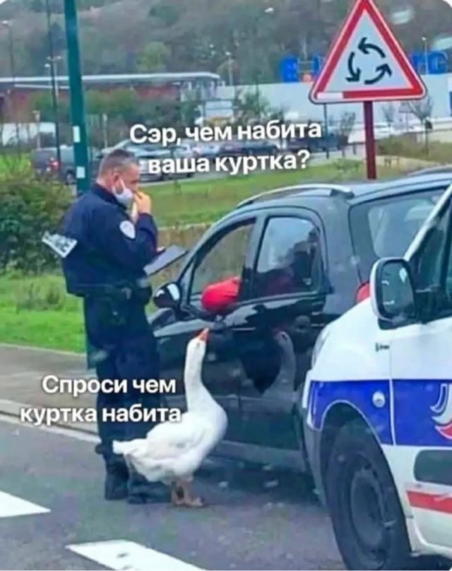 Среды картинки