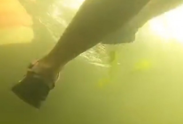 Загадят ведь водоём