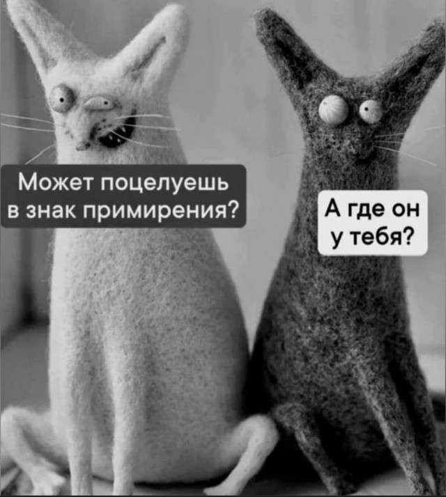 Веселые картинки в пятницу (20.02)