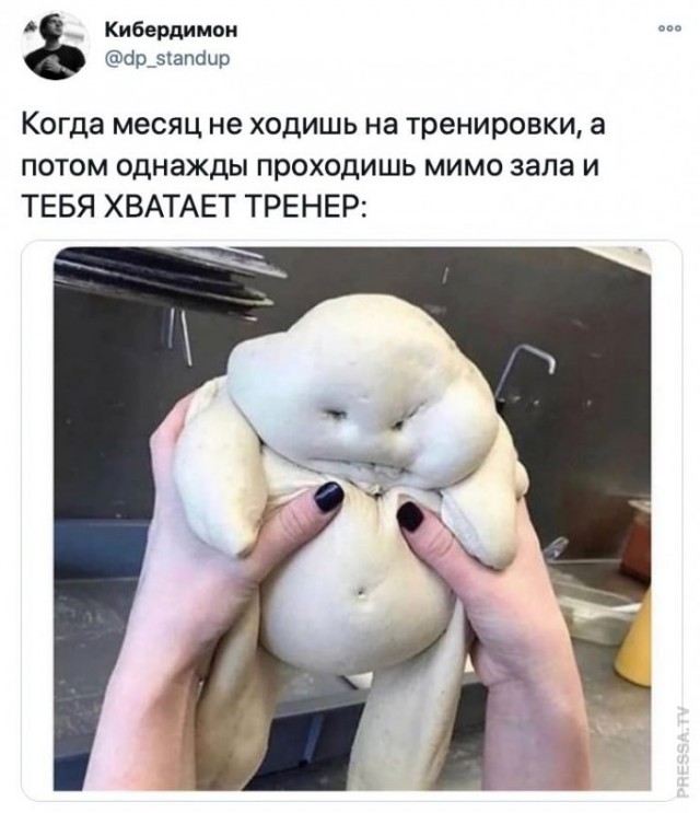 Веселые картинки в пятницу (24.04)