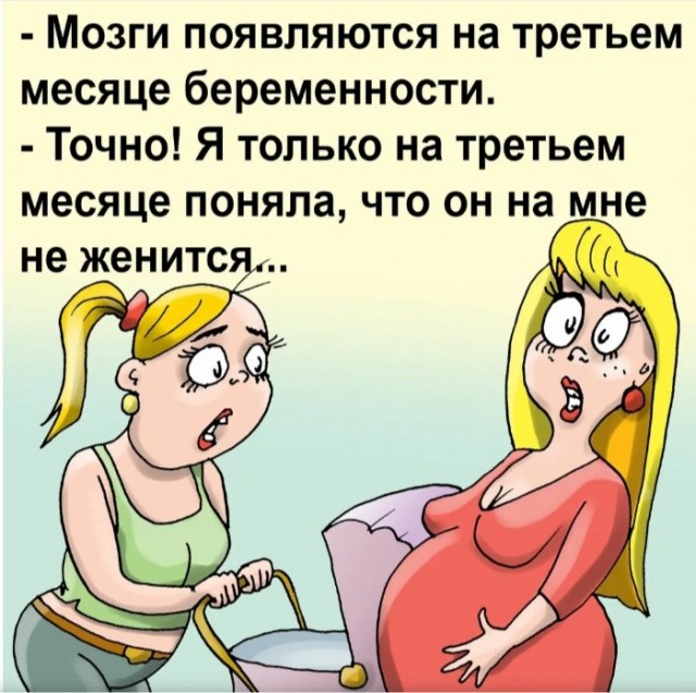 Забавные и не очень скромные картинки - 32