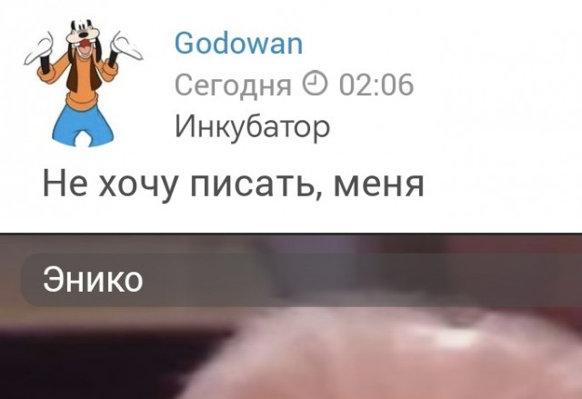 *БАЯН*Энико