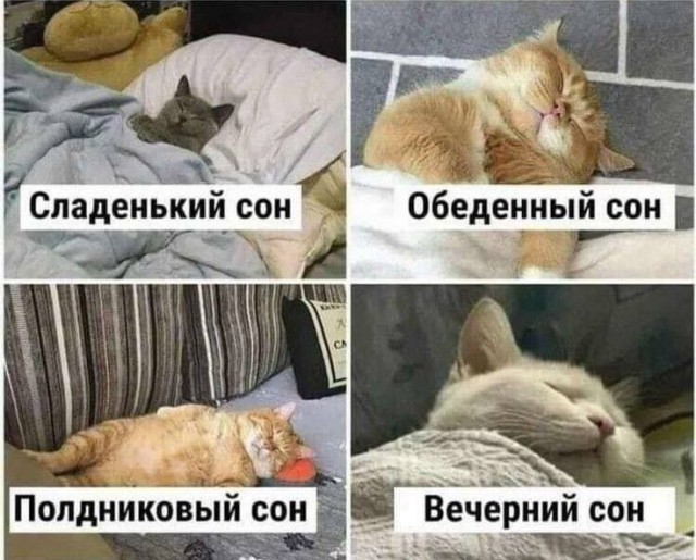 Взрослым с нормальным режимом не нужен дневной сон