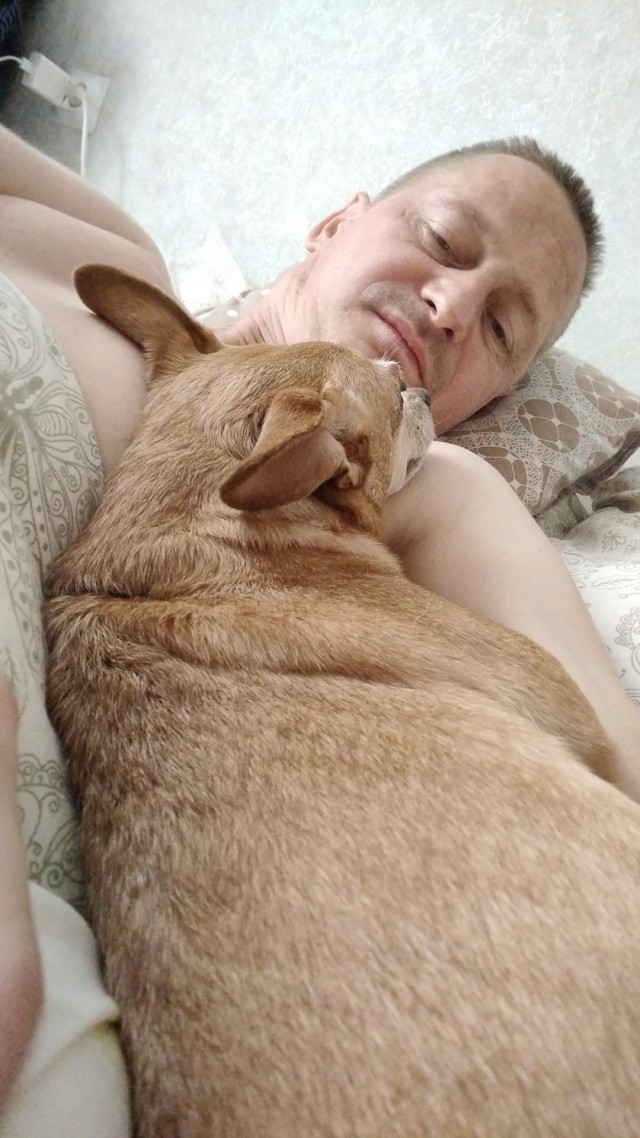 Котовое
