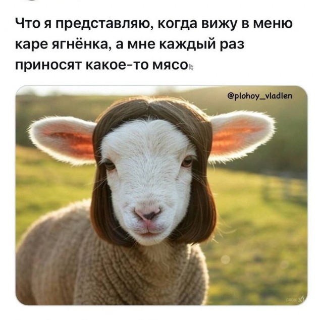 Так себе картинки 27.07.26