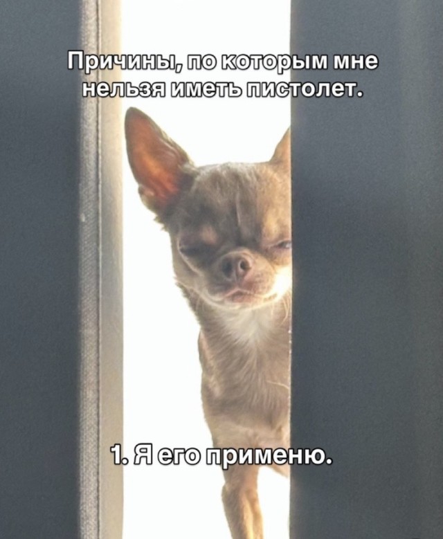 Картиночки, баянчики 01 августа