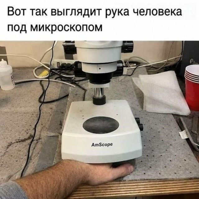 Картинки для деградации 276 (разной степени свежести)