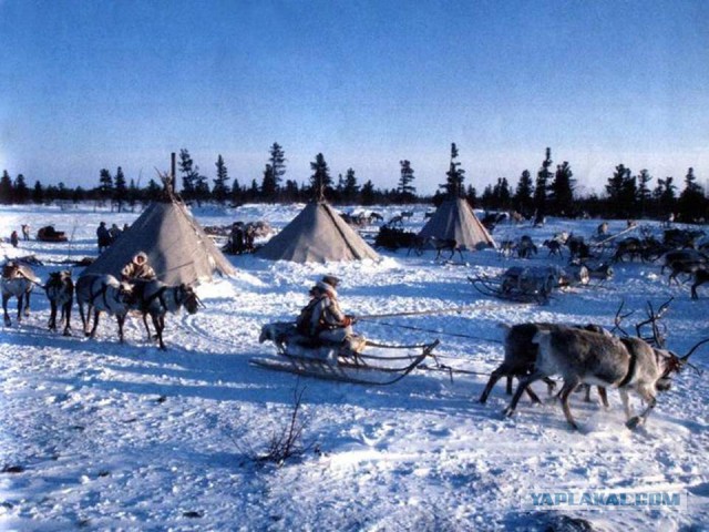 Самый сильный демотиватор...