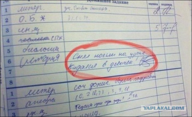 Очередная подборка записей в дневниках