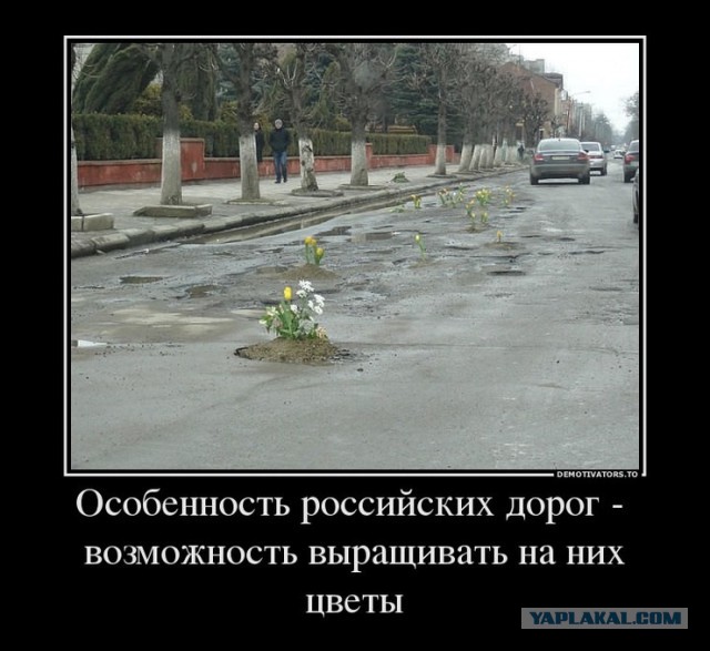 Демотиваторов пост