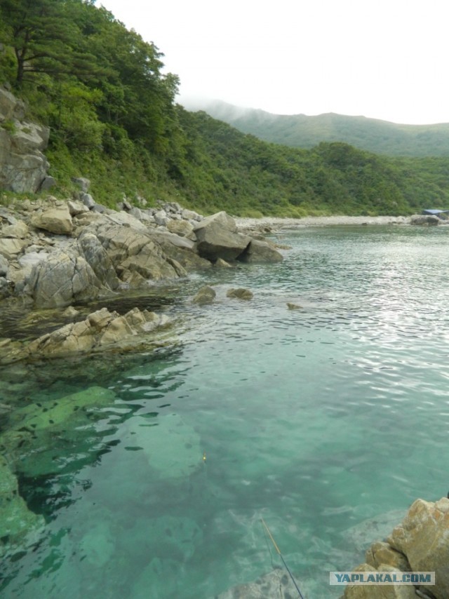 Бухта Теляковского