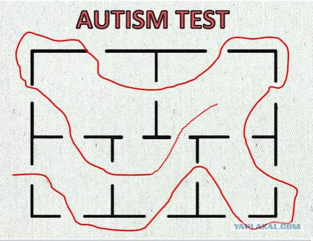 Autism test