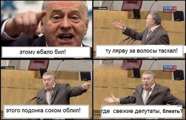 Муравьед против Жириновского!
