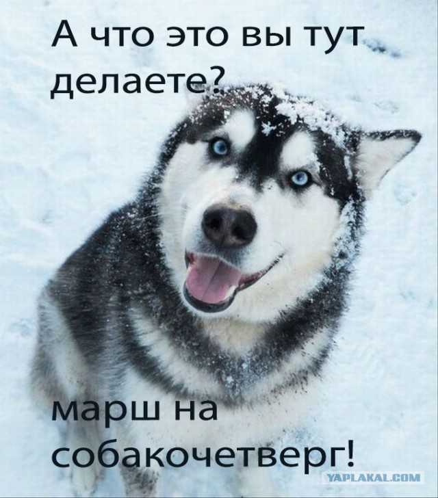 Минские переговоры нормандской четверки