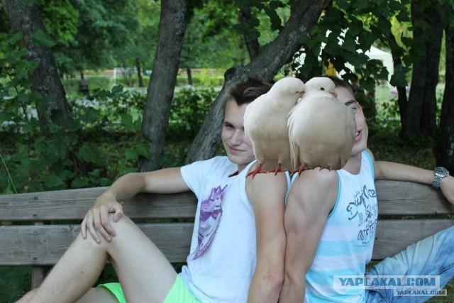 Отфотошопте меня