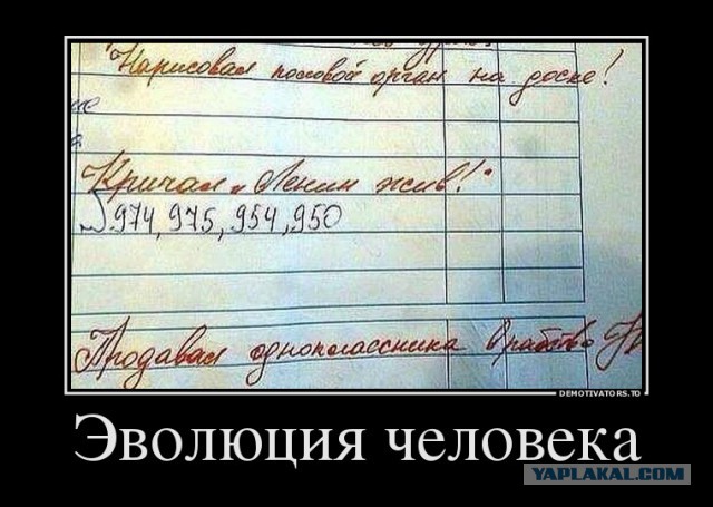 Подборка картинок из соцсетей