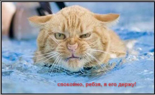 Когда плаваешь и что-то задевает твою ногу