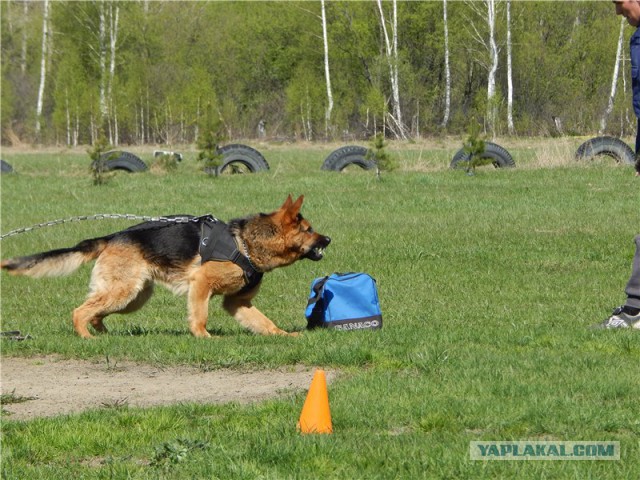 Игры настоящий пацанов