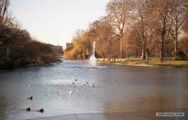 Золотая осень