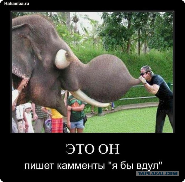 Стриптиз юных девушек за 500 рублей