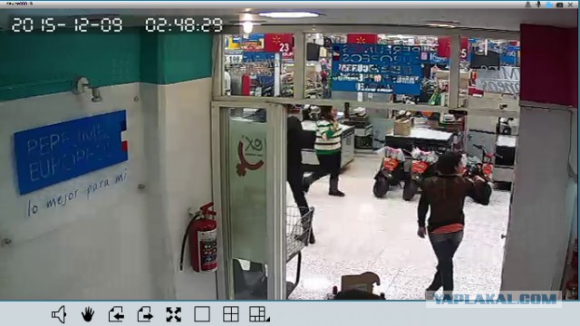 За что я люблю китайцев