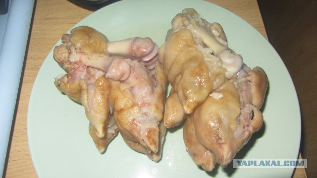 Заливное из языка