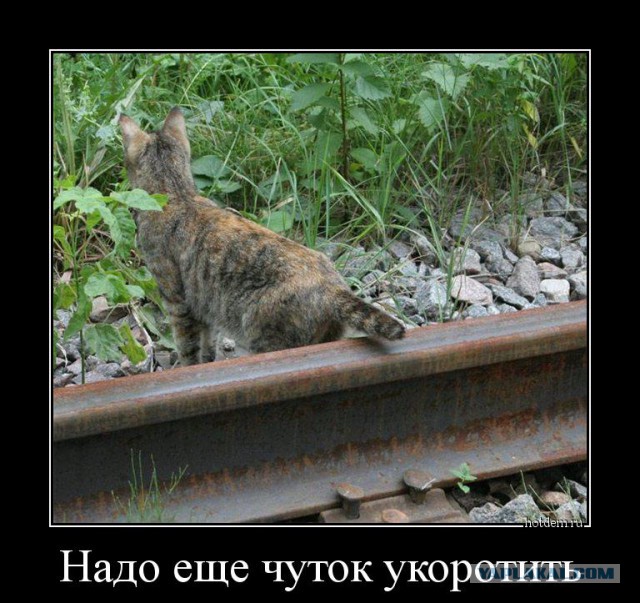 Абсурдный юмор