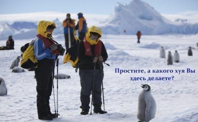 Абсурдный юмор ч.4