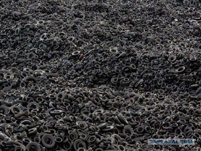 Майдан. Прямая трансляция.